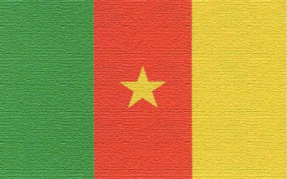 bandiera camerun