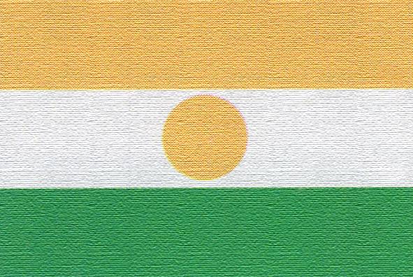 bandiera niger