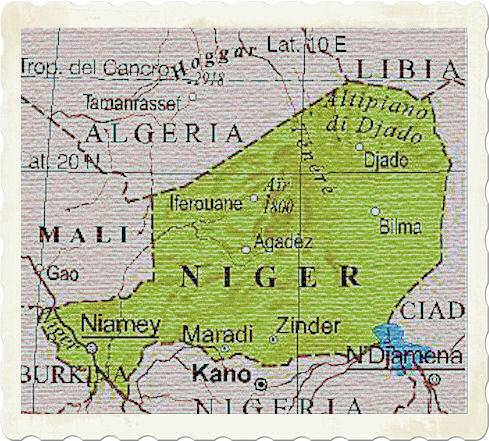 cartina niger