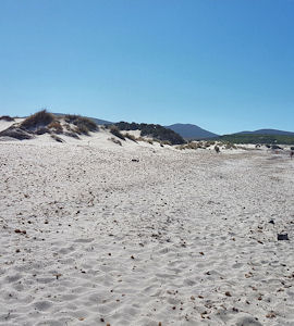 dune porto pino