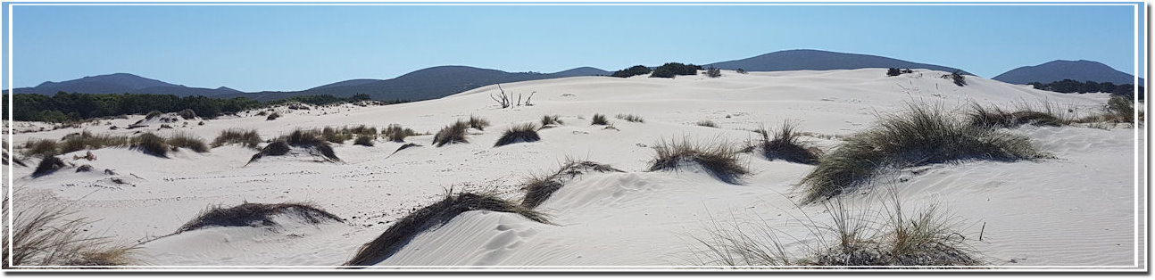 dune di porto pino