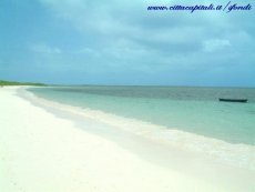 spiaggia  di un isola di cuba (santa lucia)
