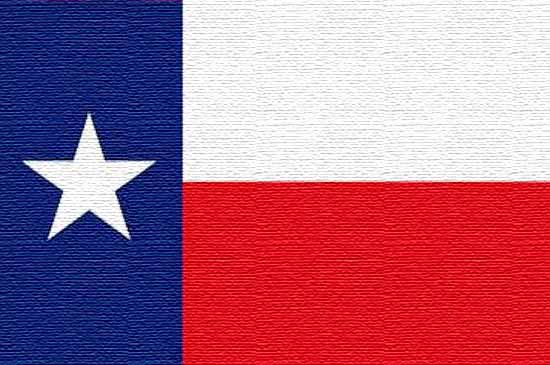 Bandiera texas